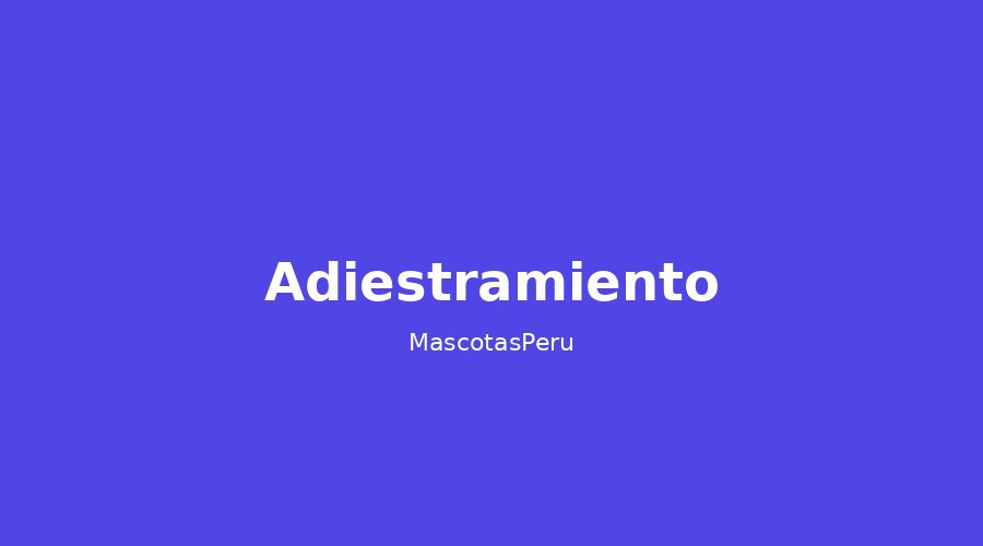 Cómo adiestrar a tu cachorro en casa: guía para principiantes en el Perú