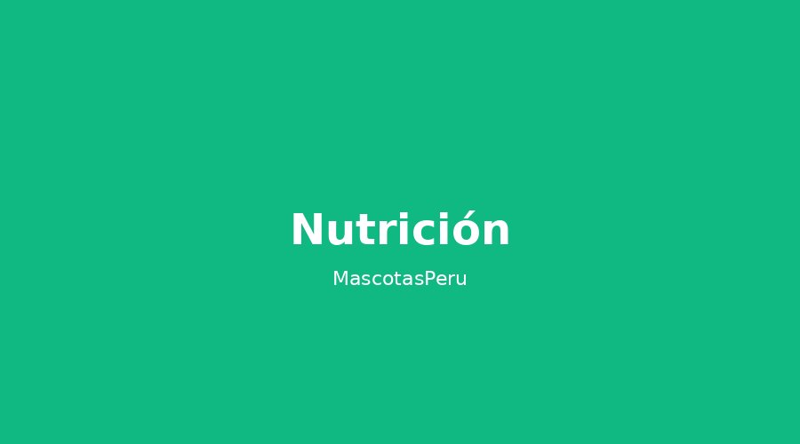 Alimentación según la edad: qué debe comer tu perro o gato en cada etapa