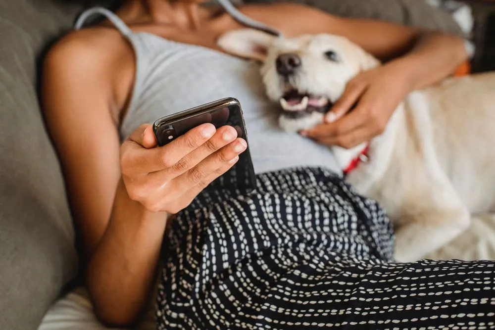 Persona con su perro mirando los recuerdos del evento en el celular