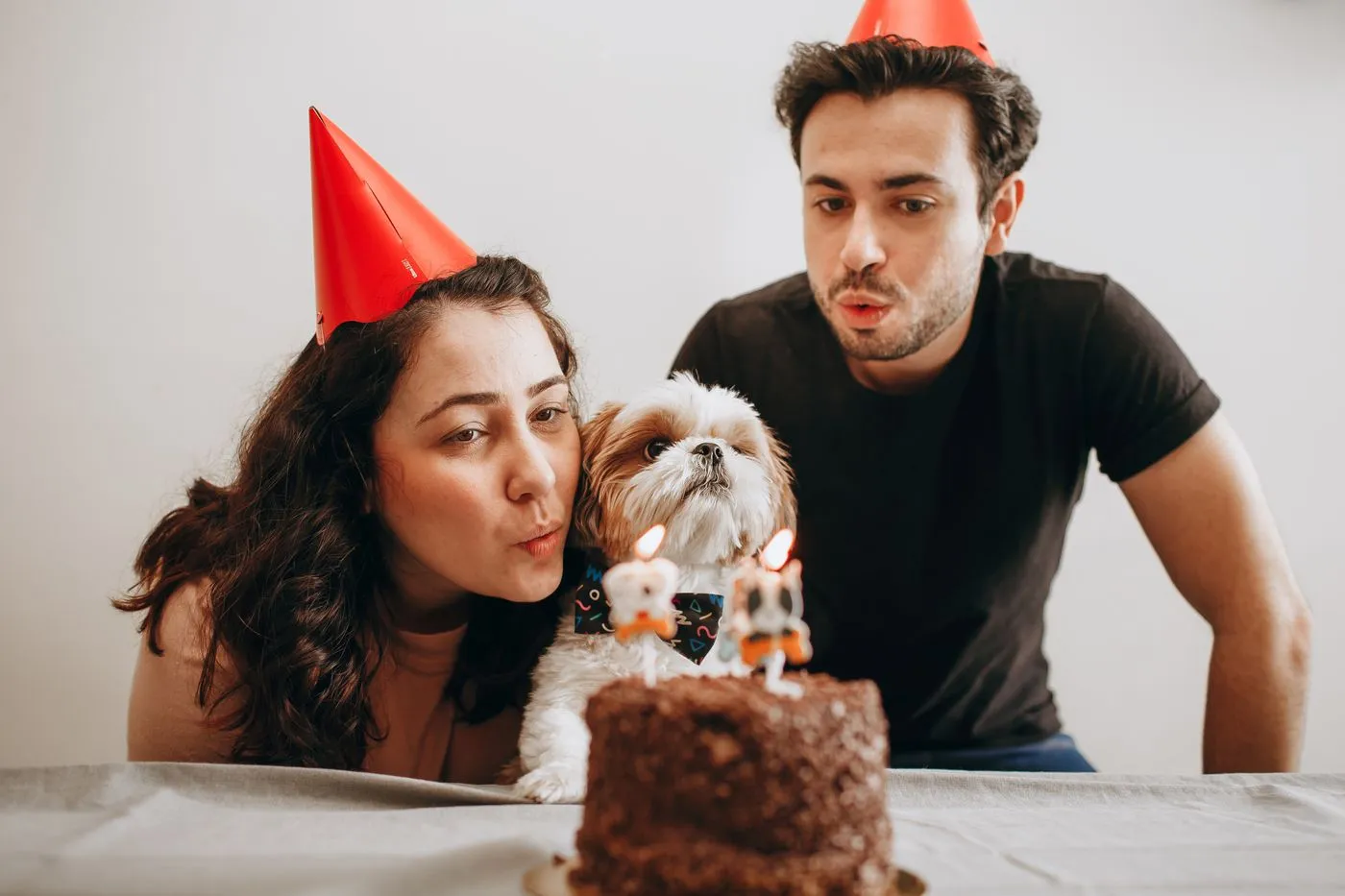 Pareja y su perro apagando las velas de un pastel en el cumpleaños de la mascota